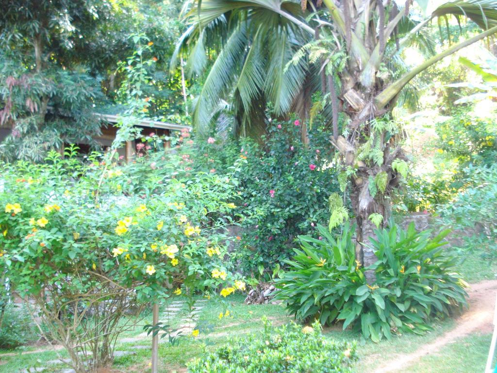 Cote Sud - Unique Villa & Bungalows Intendance Road Takamaka Стая снимка