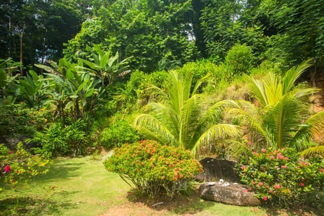 Cote Sud - Unique Villa & Bungalows Intendance Road Takamaka Екстериор снимка